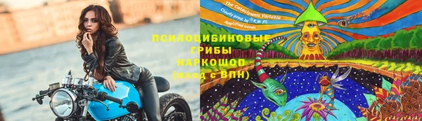 spice Волосово